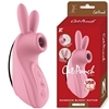 ���z�����Cat�@Punch�@�iN�@NOMNOM�@BUNNY�@ROTOR�j�@��ݸ