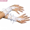 ڰ���۰�ށ@Chloe�@�ܲ�