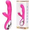 �غ��޲�ށ@��׽�@VIBRATORS�@�i۰��گ�ށj