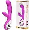 �غ��޲�ށ@��׽�@VIBRATORS�@�i�߰��فj